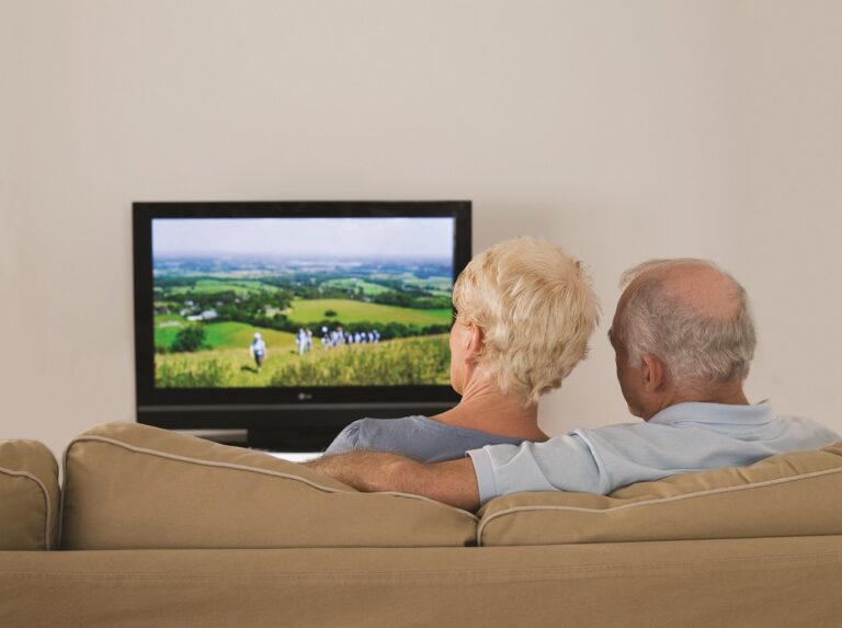 Rear view of a senior couple watching tv