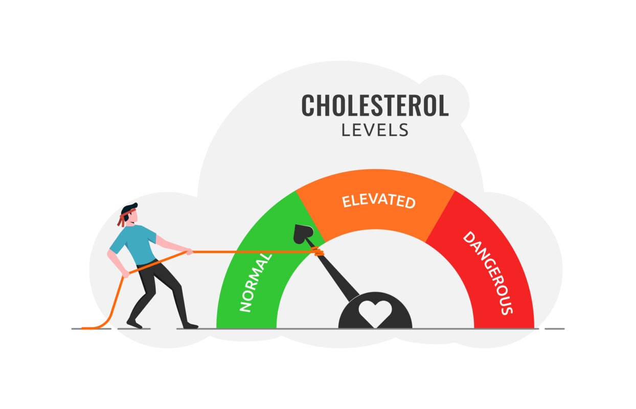 Cholesterol level meter gauge with arrow indicator for healthcare and heart health analysis, high and low fat test, blood risk and good or bad health control, a man pulling rope to normal position