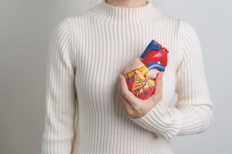 Woman holding human Heart model. Cardiovascular Diseases, Atherosclerosis, Hypertensive Heart, Valvular Heart, Aortopulmonary window, world Heart day and health concept