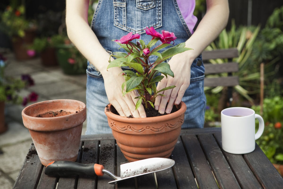 Woman planting flowers