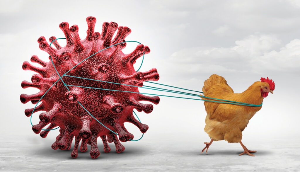 Should You Worry About the New Bird Flu? - Bottom Line, Inc.