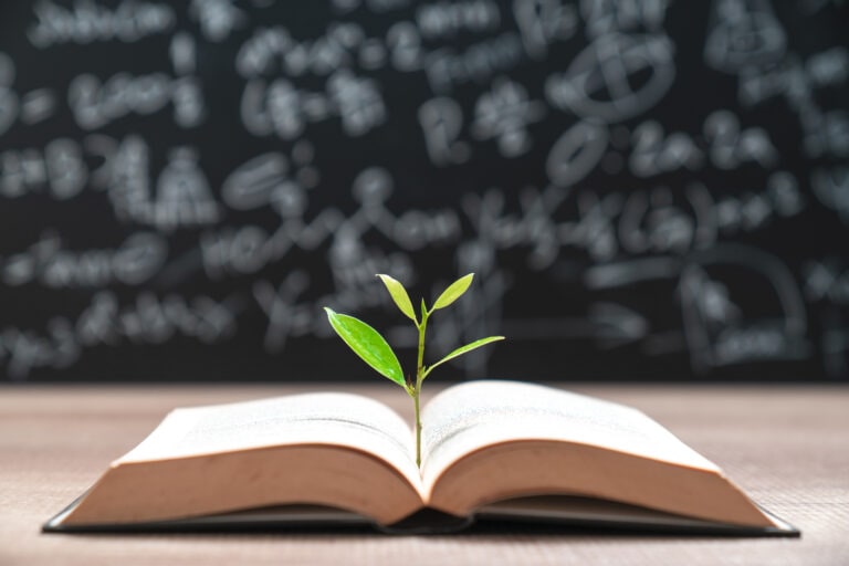 World philosophy day education concept with tree of knowledge planting on opening old big book