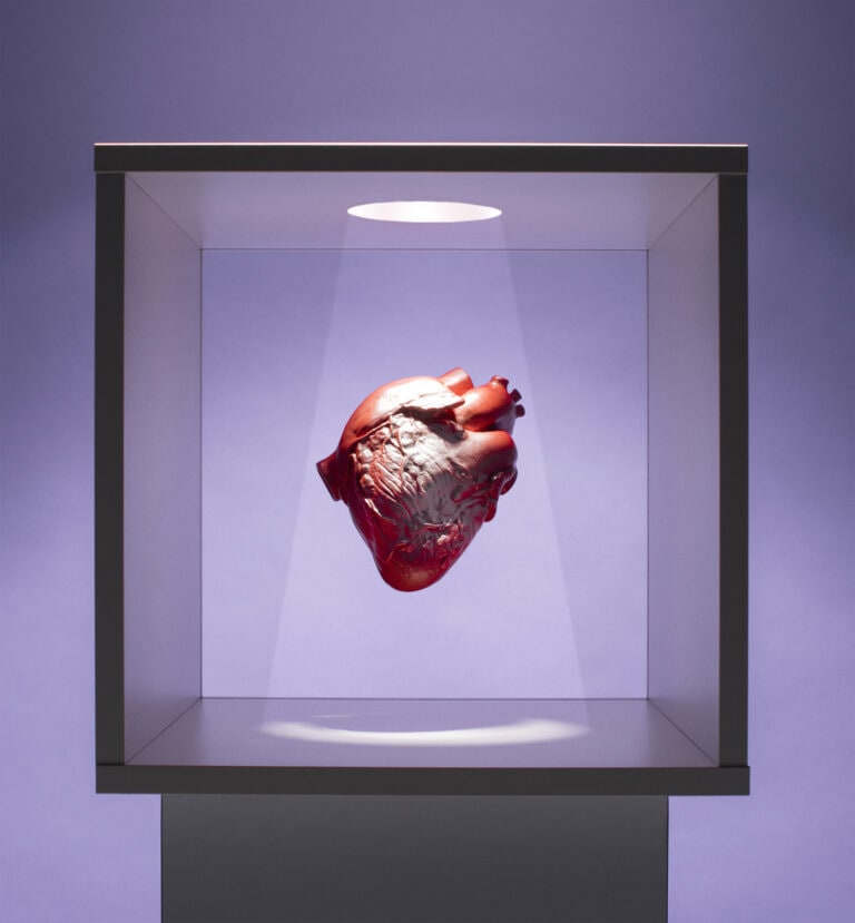 Human heart model in box