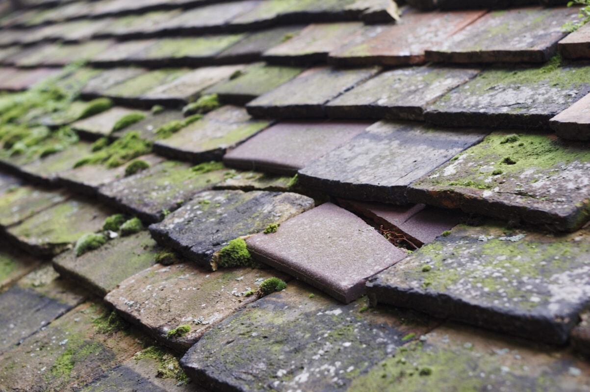 Closeup view of cracked roof tiles with moss