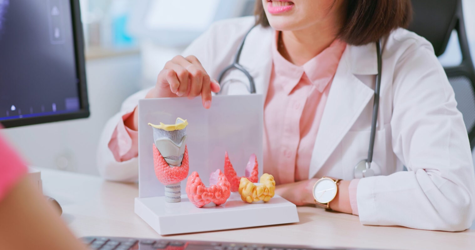 asian doctor thyroid model explain