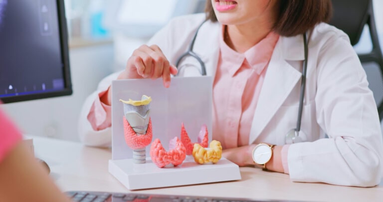 asian doctor thyroid model explain