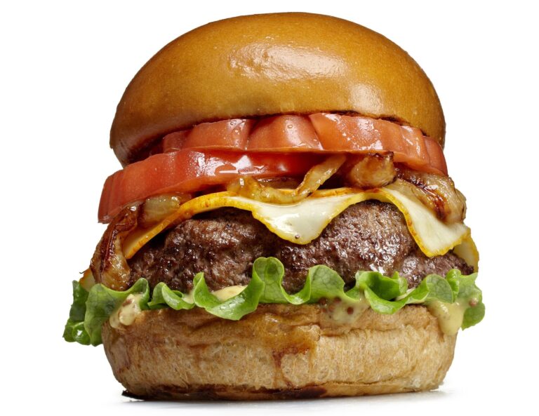 Hamburger on white