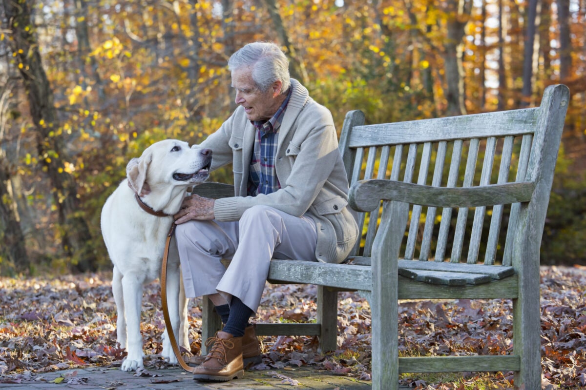 pets and health