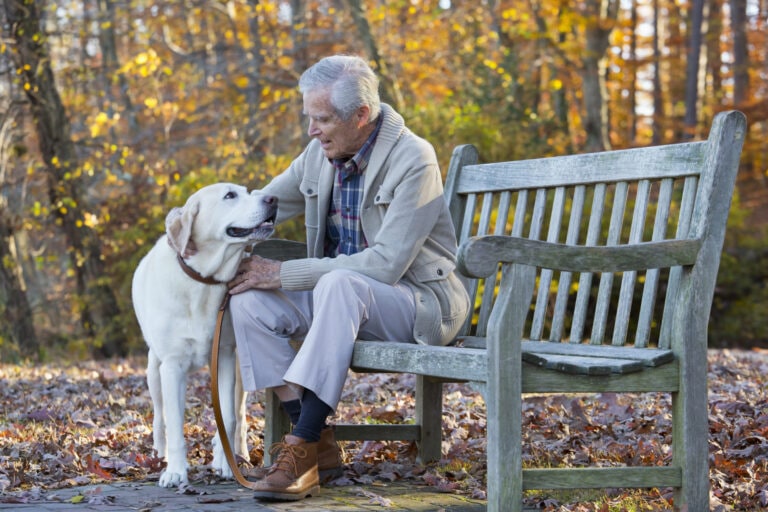 pets and health