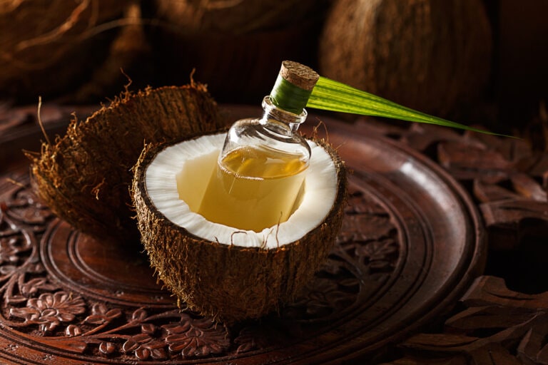 Coconut Oil vs. Olive Oil