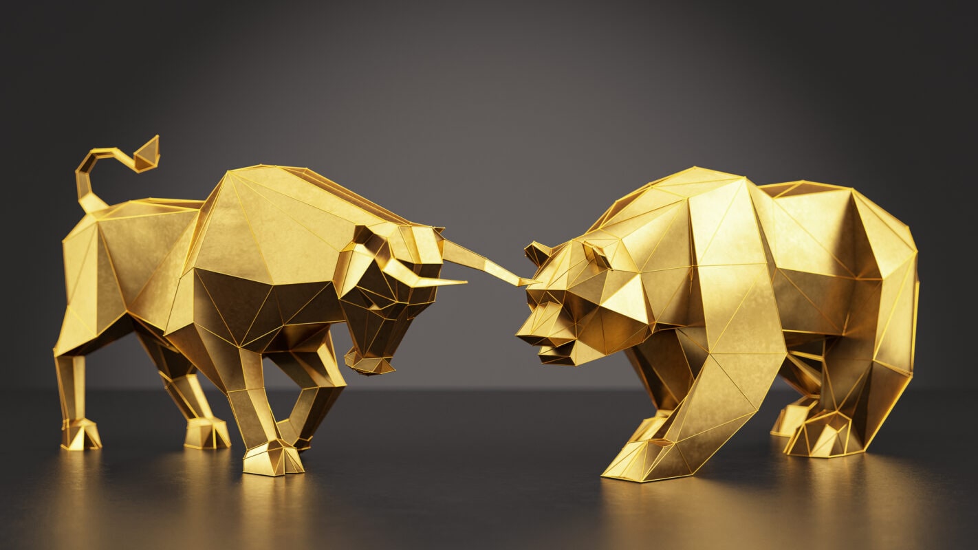 bull vs bear market