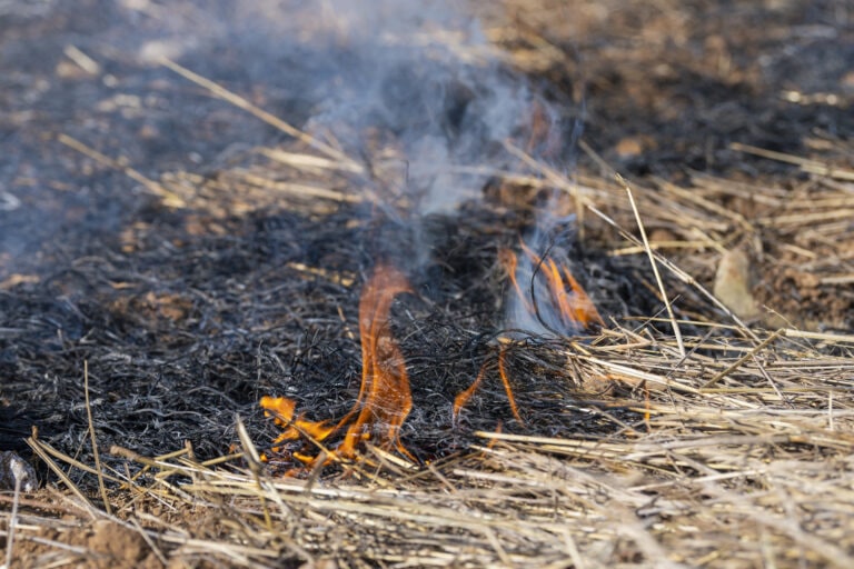 wildfire preparation