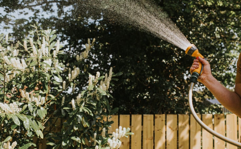 best garden hose