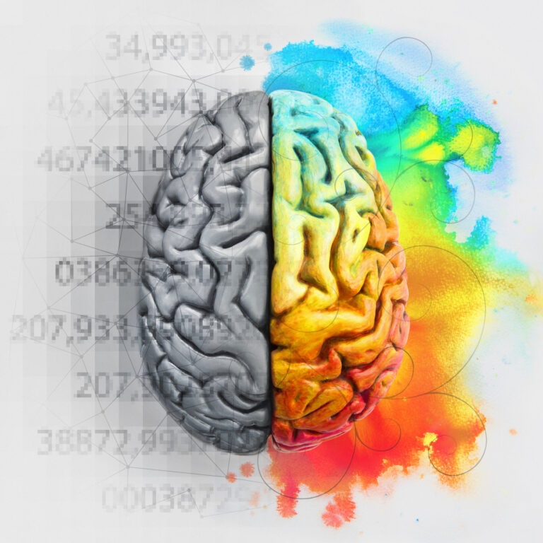 right brain vs left brain