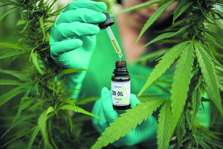 what does cbd do