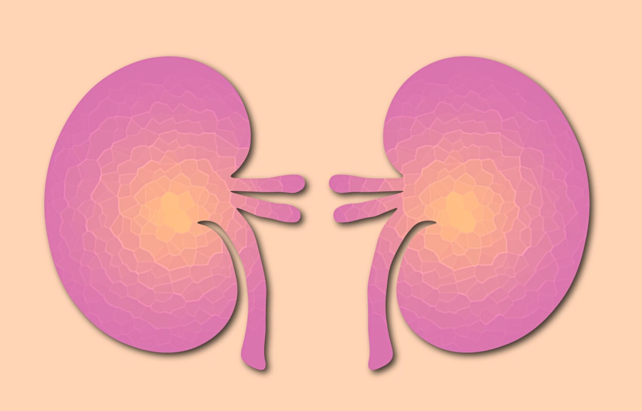 How to Improve Kidney Function