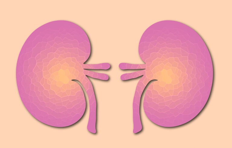 How to Improve Kidney Function