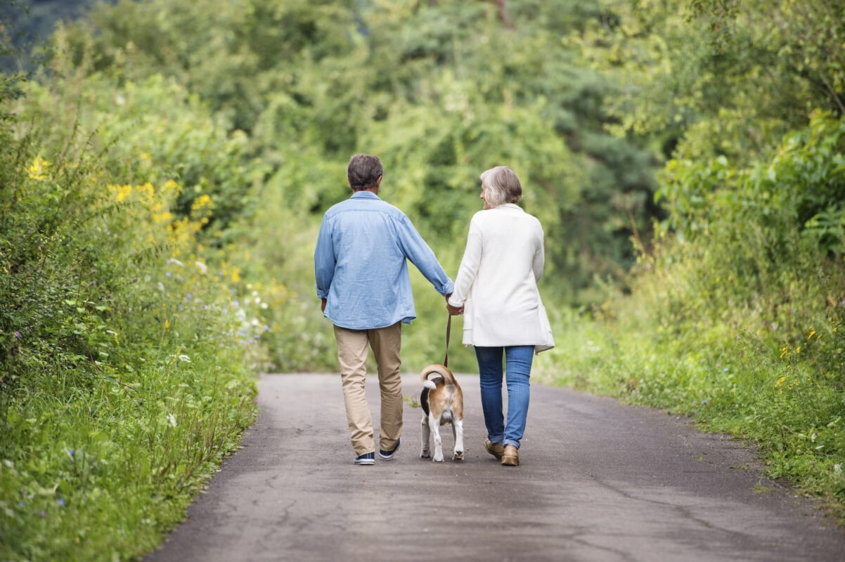 The benefits of walking are too numerous the number.