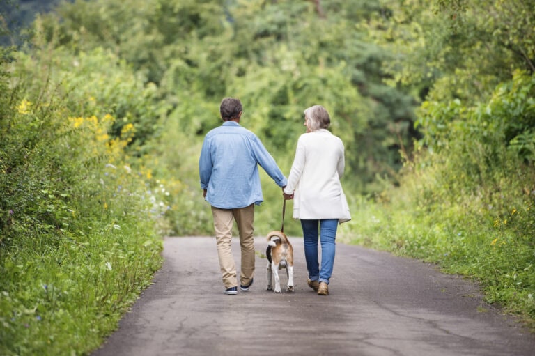The benefits of walking are too numerous the number.