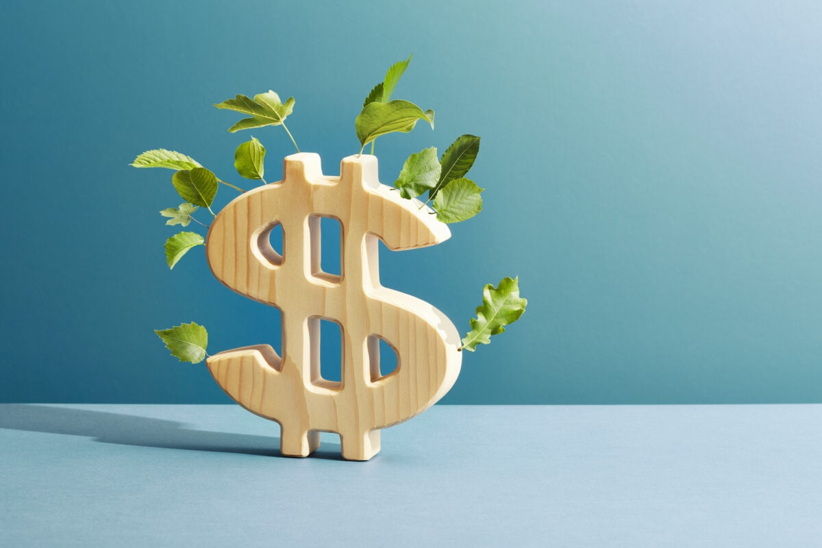 What Is an Annuity?