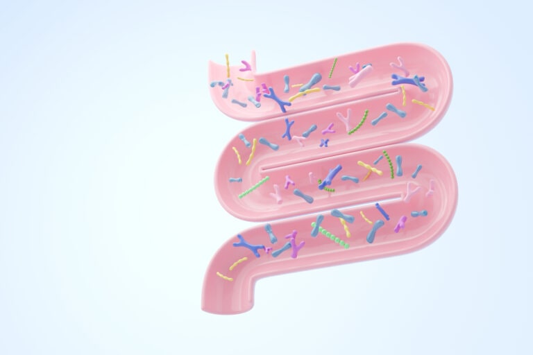 Prebiotic vs. Probiotic