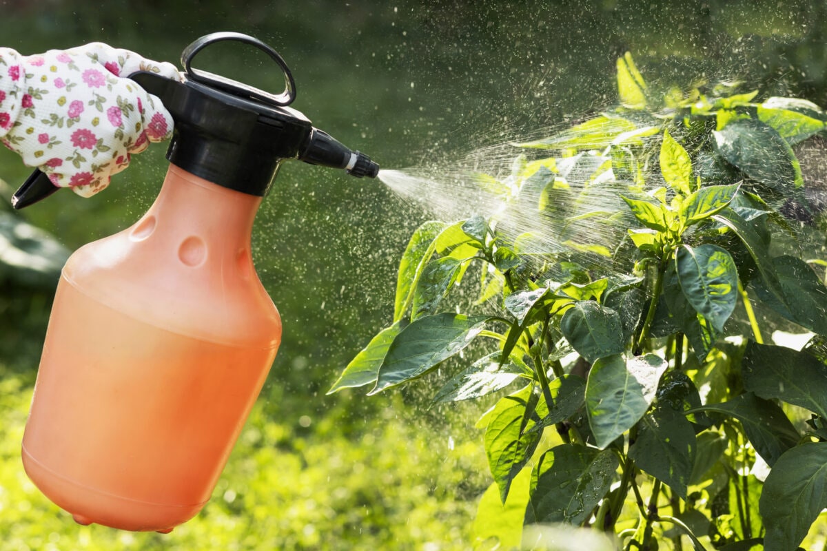 The best weedkillers are pet and child safe, and kill problem weeds without damaging garden plants and the environment.