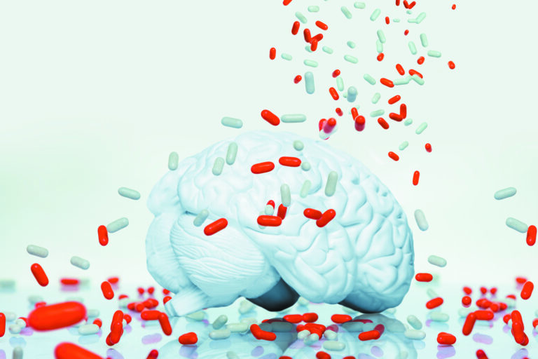 Vitamins for Memory