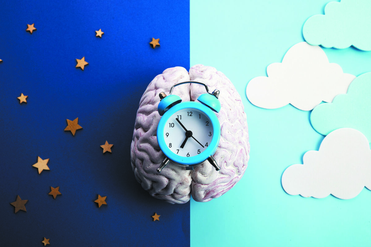 circadian rhythm