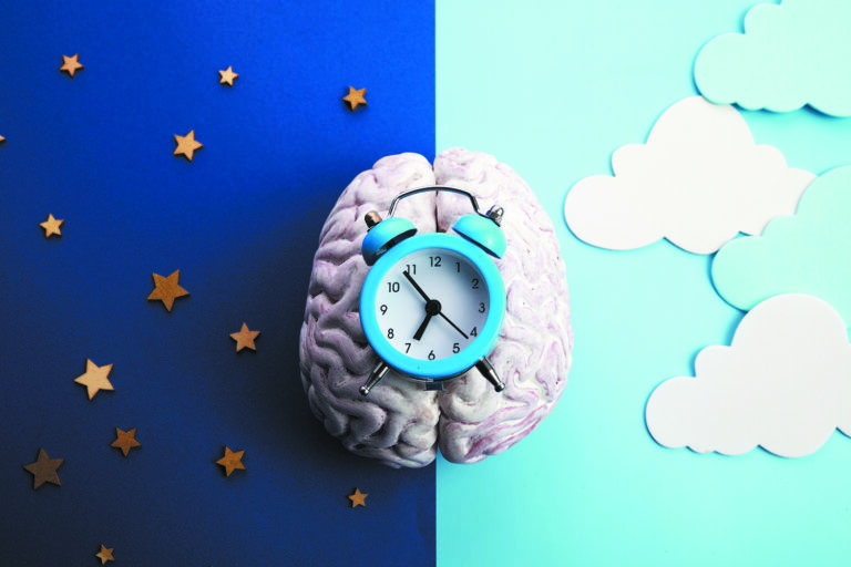 circadian rhythm