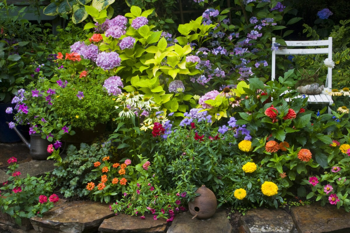 landscaping ideas