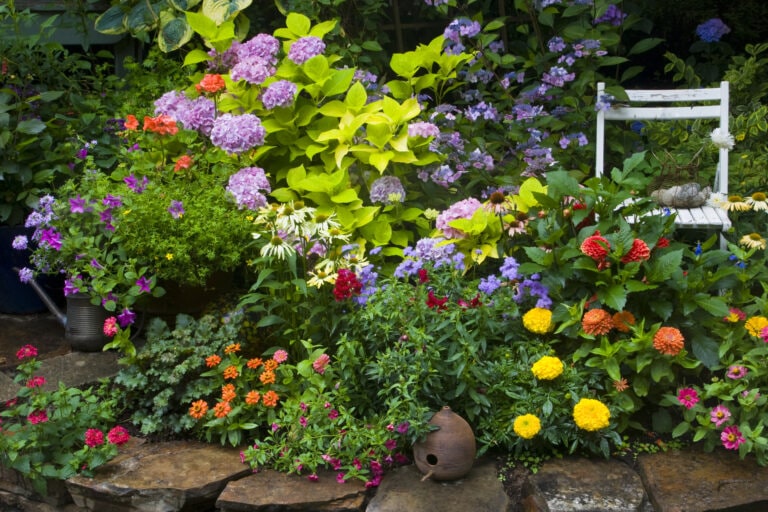 landscaping ideas
