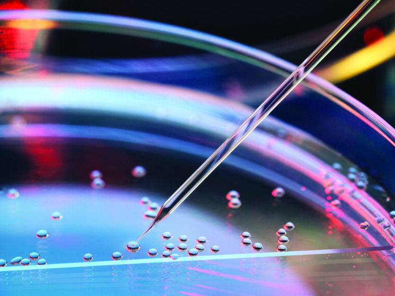 Stem Cell Therapy