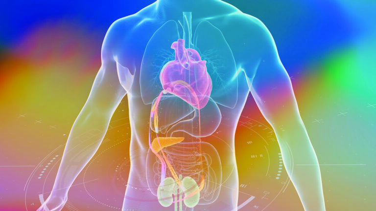 CKM Syndrome