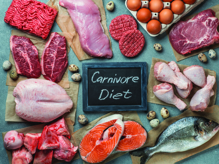 carnivore diet