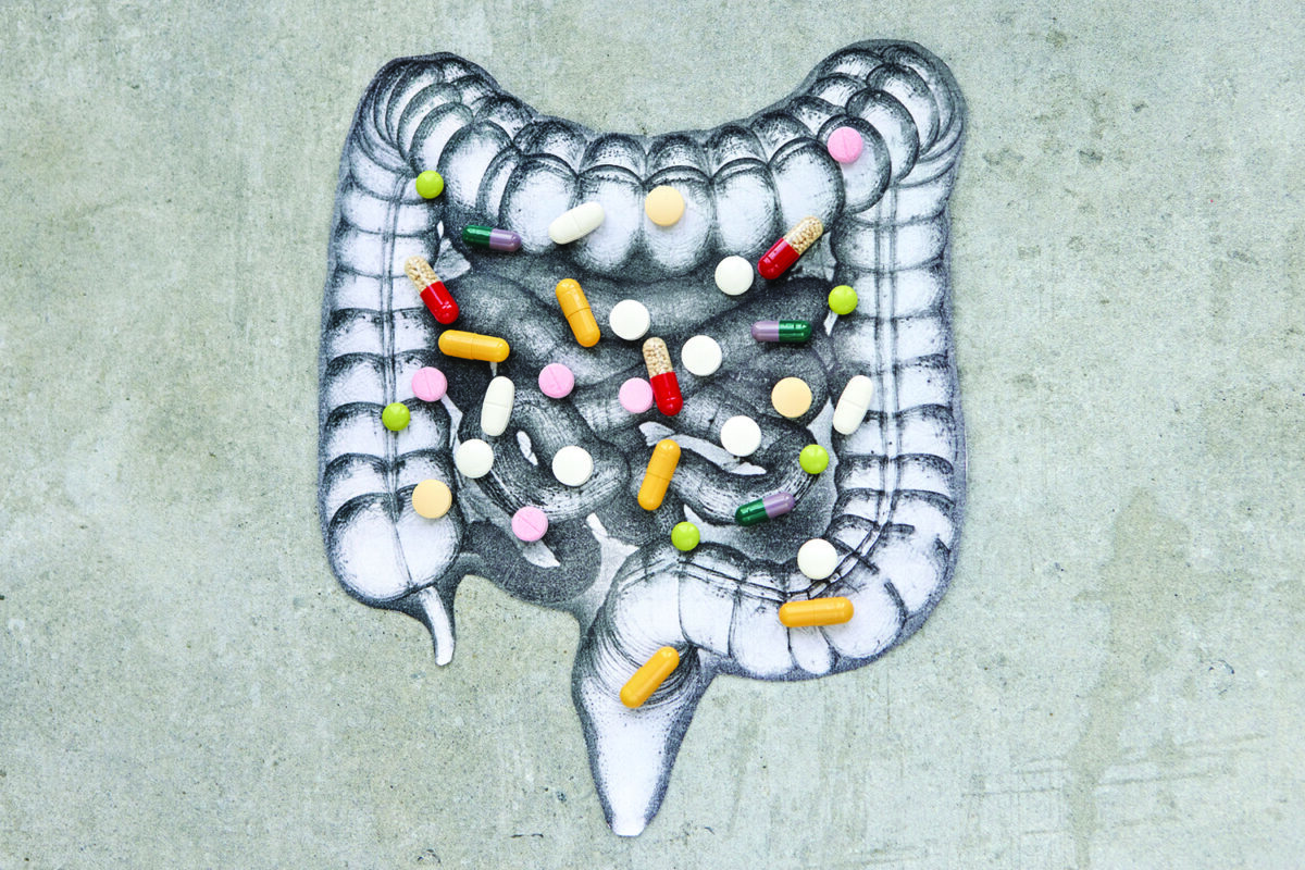 Gut Health Supplements