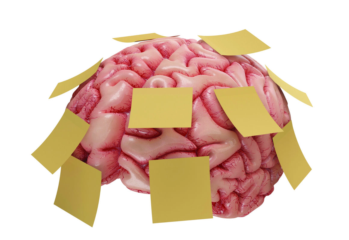 Working Memory